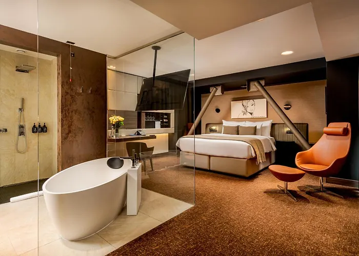 可龙威尔布拉索夫酒店 酒店