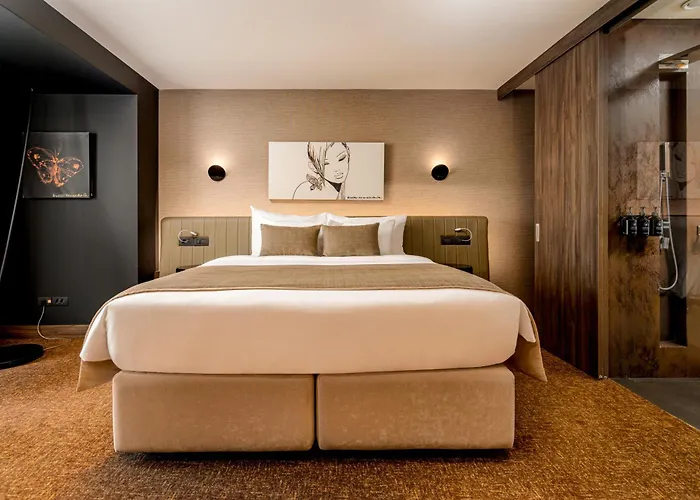 可龙威尔布拉索夫酒店 酒店 布拉索夫