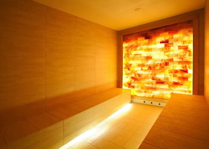 酒店 可龙威尔布拉索夫酒店