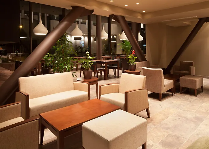 可龙威尔布拉索夫酒店 布拉索夫